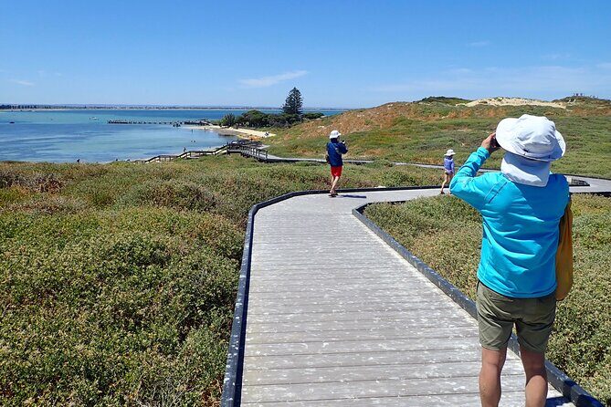 Penguin and Seal Islands Sea Kayaking Experience - Key Points: