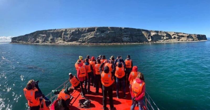 Penguin Expedition: Sailing to Isla Marta and Magdalena from Punta Arenas - Key Points