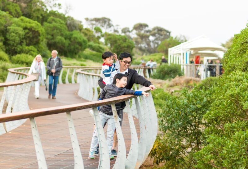 Penguin Parade: General Viewing Ticket - Penguin Parade: General Viewing Ticket — A Genuine Wildlife Experience