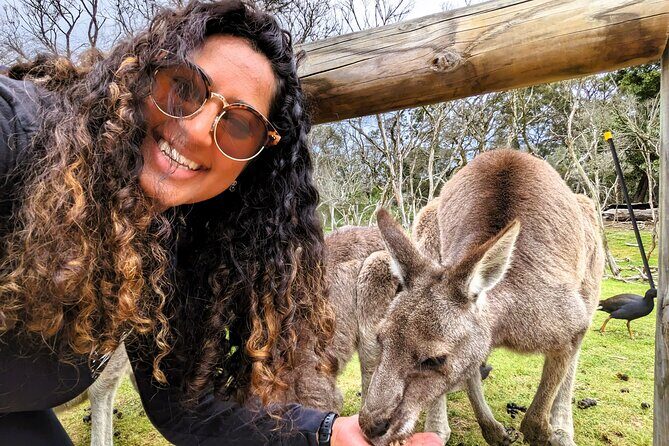 Penguin Parade, & Wildlife Encounters Eco Tour from Melbourne - Pricing and Value