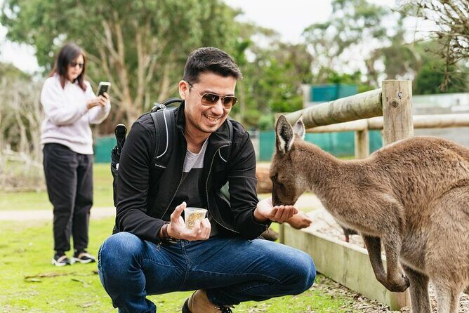 Penguin Parade, & Wildlife Encounters Eco Tour from Melbourne - FAQ Section