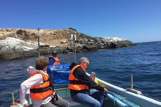 Penguins Watching-Navigation & HorseRide & Barbecue From Santiago - Key Points