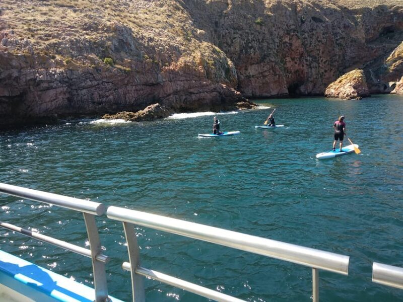 Peniche: Berlengas Island Catamaran Tour + Stand Up Paddle - Practical Tips for Travelers