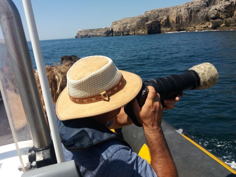 Peniche: Dolphin Route Boat Trip - A Full Breakdown of the Peniche Dolphin Route Boat Trip