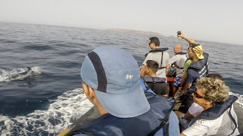 Peniche: Dolphin Route Boat Trip - Final Thoughts: Why It’s Worth Considering