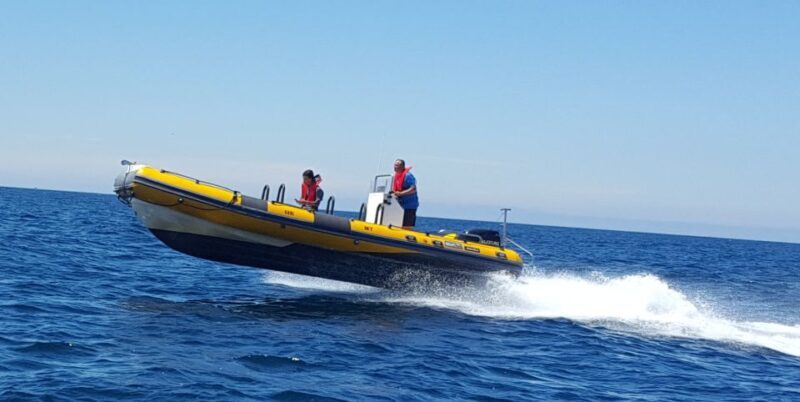 Peniche: Dolphin Route Boat Trip - FAQ