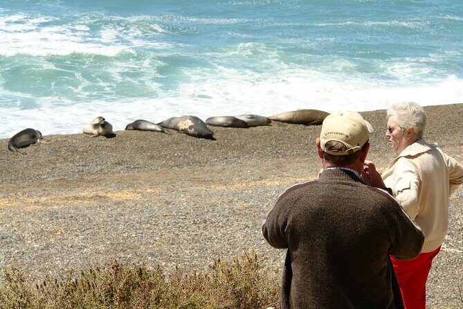 Peninsula de Valdes - Puerto Madryn **(Shared tour for cruises)** - What to Expect on the Peninsula de Valdes Tour