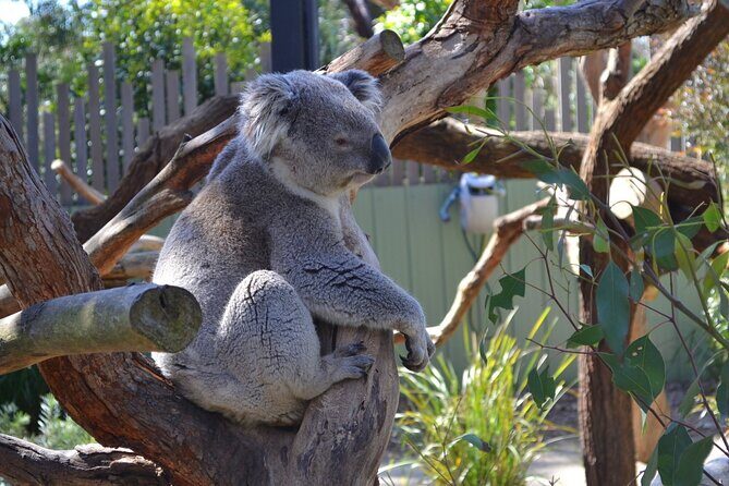 Peninsula Nature Tour - Who Will Love This Tour?