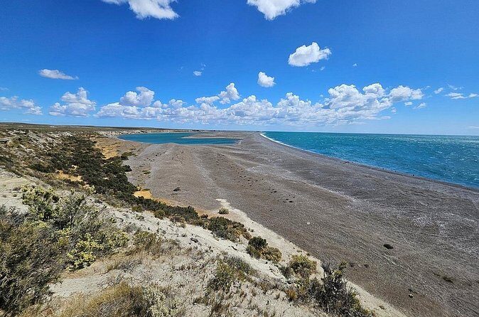 Peninsula Valdés Excursion with Whale Watching Included - The Sum Up
