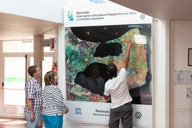 Peninsula Valdes Full Day Tour - A Deep Dive into the Peninsula Valdes Full-Day Experience