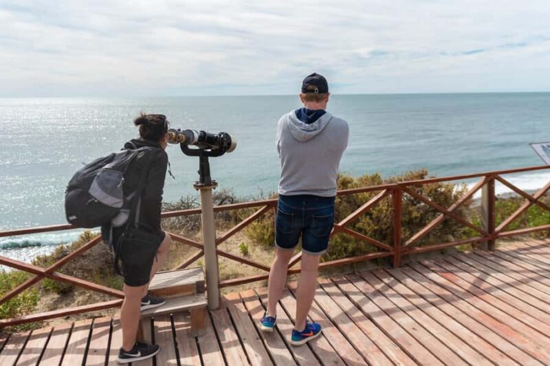 Peninsula Valdes Full Day Tour - A Detailed Look at the Peninsula Valdes Full Day Tour