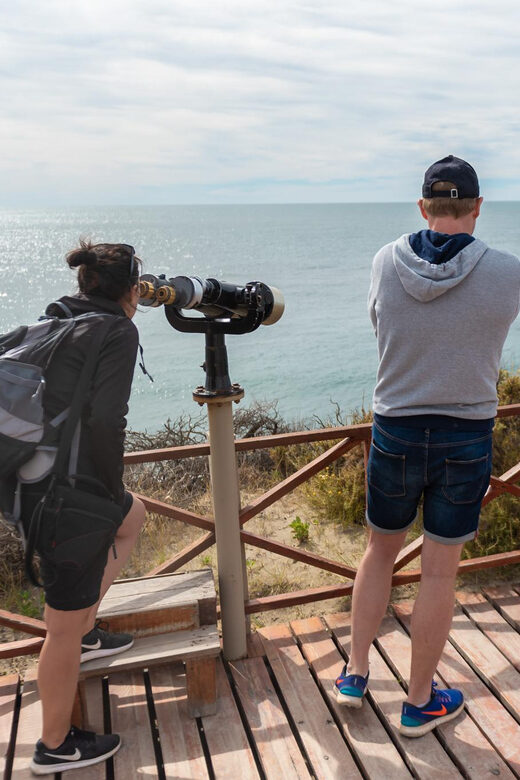 Peninsula Valdes Full Day Tour - Frequently Asked Questions