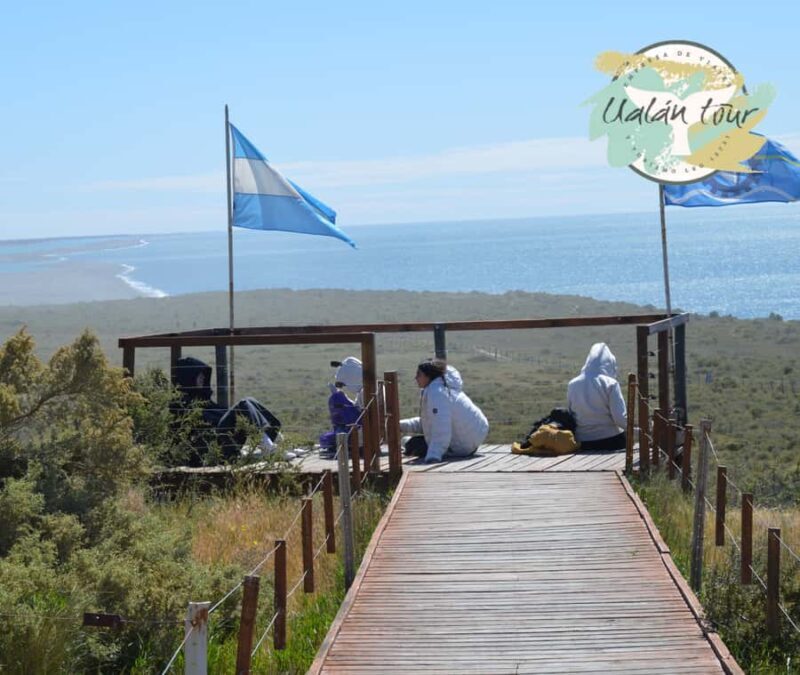 Peninsula Valdes: Shore excursion for cruise passengers - Peninsula Valdes: Shore Excursion for Cruise Passengers