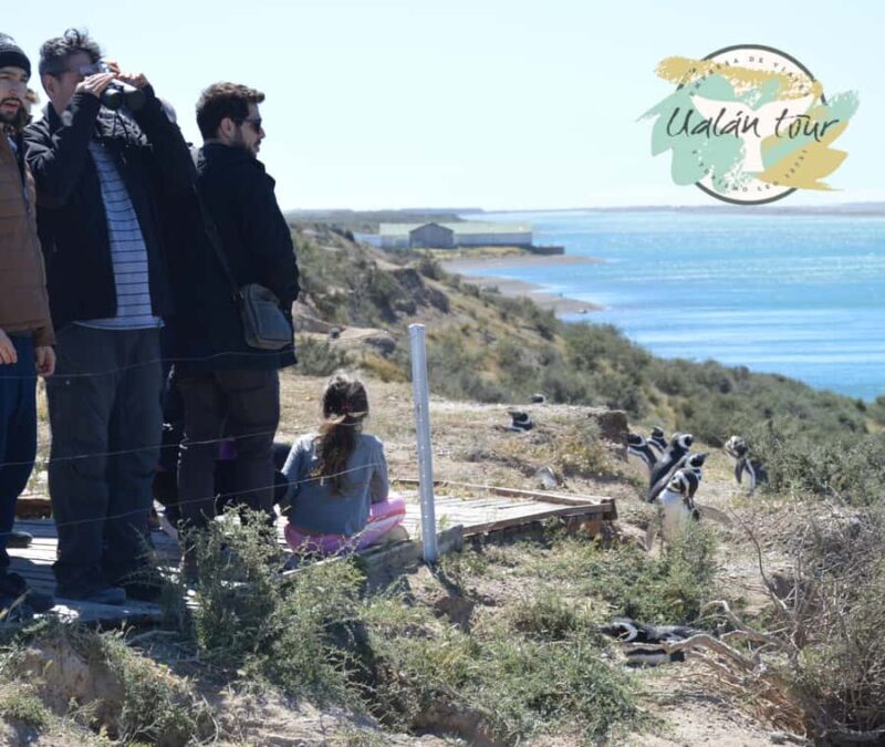 Peninsula Valdes: Shore excursion for cruise passengers - The Value of the Experience