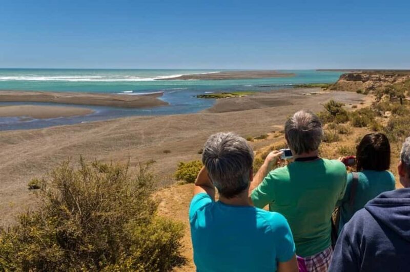 Peninsula Valdes Shore Tour for Cruise Passengers Lunch+City - Key Points