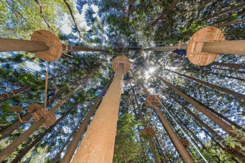 Pennant Hills: Tree Ropes Course Session - Who Should Consider This Experience?