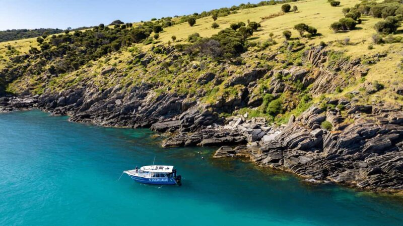 Penneshaw: Kangaroo Island Ultimate Adventure Tour - Exploring the Details of Penneshaw: Kangaroo Island Ultimate Adventure Tour