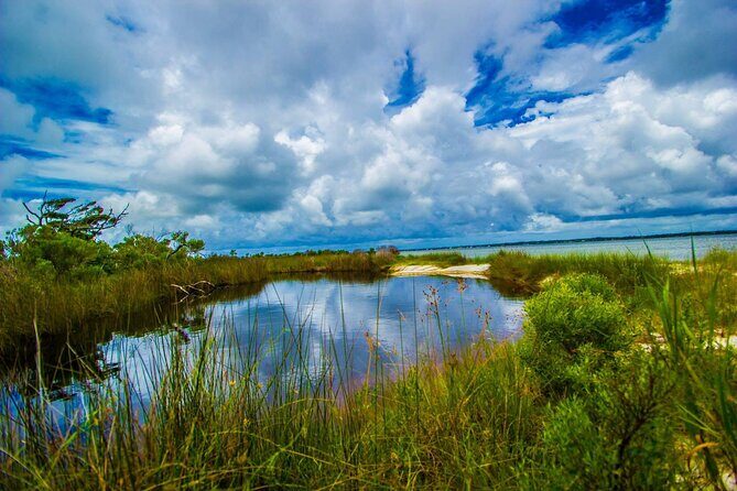 Pensacola Beach Fort Pickens Dolphin Cruise Tour - The Sum Up: Is This Tour Right for You?