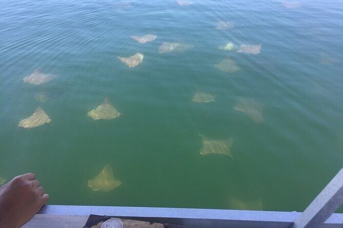 Pensacola Beach Jolly Dolphin Cruise and Scenic Bay Tour - FAQ