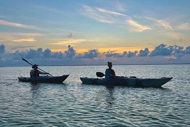 Pensacola Beach Kayak Tour - A Deep Dive into the Pensacola Beach Kayak Tour