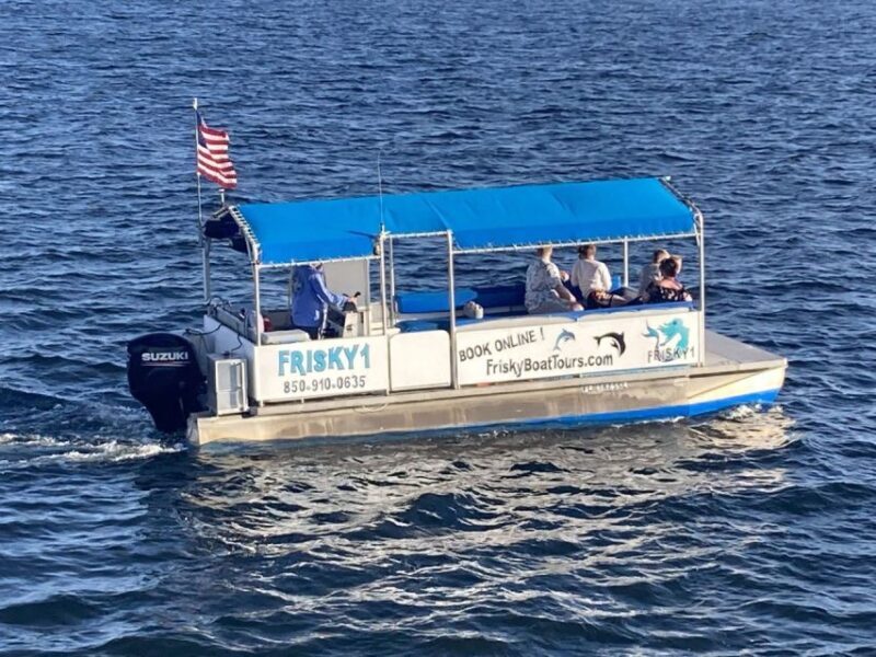 Pensacola Beach Sunset Dolphin Tour private up to 6 ppl - Why This Tour Offers Real Value