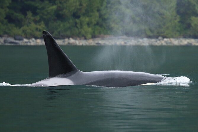 People Water Land- Indigenous Cultural and Wildlife Tour - FAQs