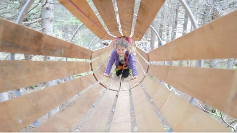 Percé: Folies Boréales  Adventure course in the trees - Percé: Folies Boréales Adventure Course in the Trees — A Fun-Filled, Family-Friendly Outdoor Experience
