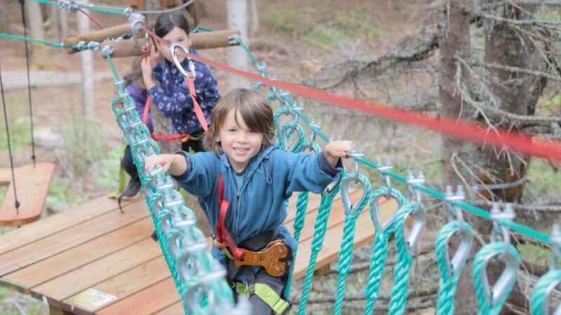 Percé: Folies Boréales  Adventure course in the trees - Key Points
