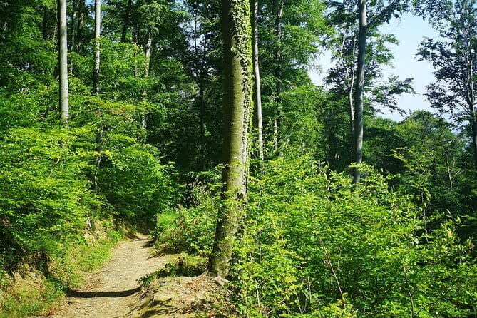 Perceive Zagreb Like a Local - Medvednica Nature Park Hiking - Key Points
