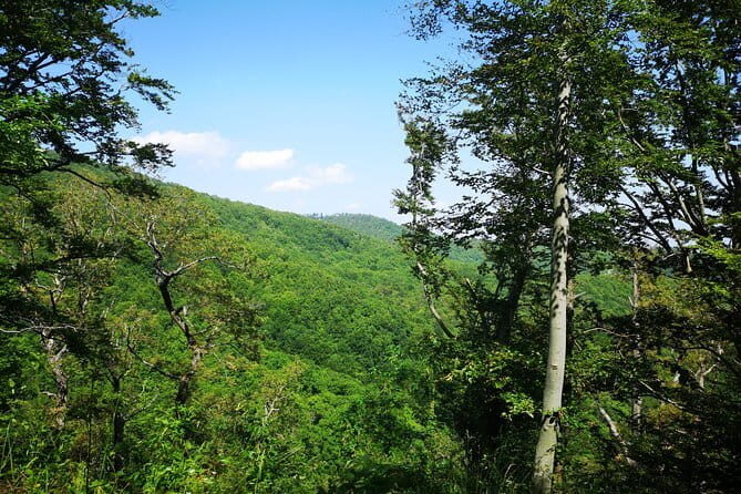 Perceive Zagreb Like a Local - Medvednica Nature Park Hiking - The Itinerary Breakdown