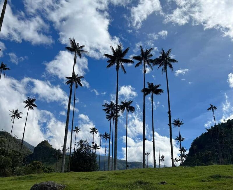 PEREIRA/ARMENIA: FULLDAY TRANSFER SALENTO+ FILANDIA + COCORA VALLEY - Final Thoughts