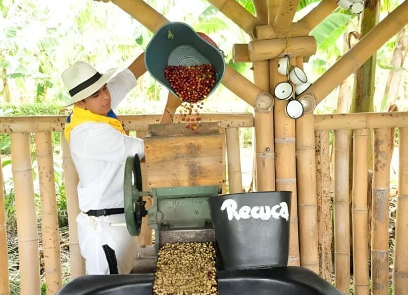 PEREIRA/ARMENIA: PRIVATE FULL DAY AT RECUCA PARK + INDIVIDUAL LUNCH - What Makes This Tour Stand Out?