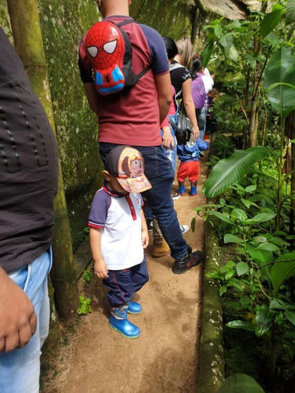 PEREIRA: BUTTERFLY FARM + ECOLOGICAL HIKE + BIOFLORA TRADITIONAL FARM - Key Points