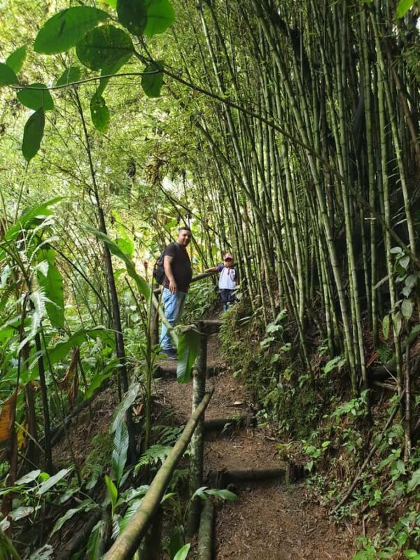 PEREIRA: BUTTERFLY FARM + ECOLOGICAL HIKE + BIOFLORA TRADITIONAL FARM - The Sum Up