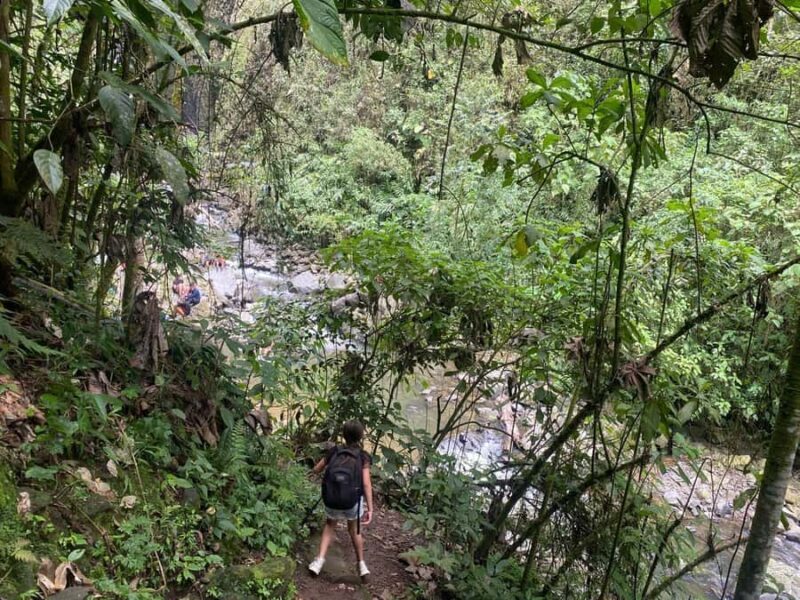 PEREIRA: DAY TREKKING TO WATERFALL + LUNCH AND MOUNTAINEERING COFFEE - Key Points