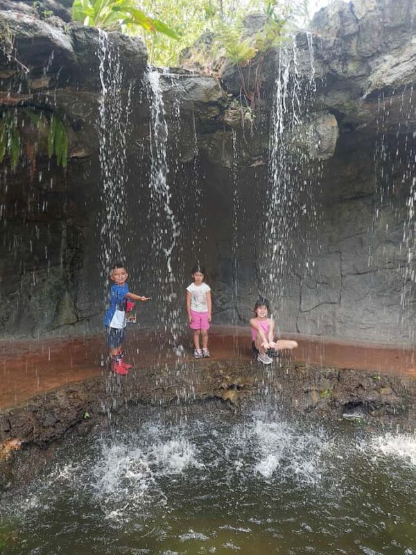 PEREIRA: FULL DAY AT UKUMARI BIOPARK WITH LUNCH - Final Thoughts