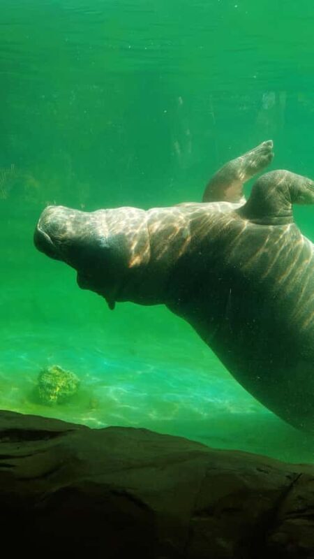 PEREIRA: FULL DAY AT UKUMARI BIOPARK WITH LUNCH - Frequently Asked Questions