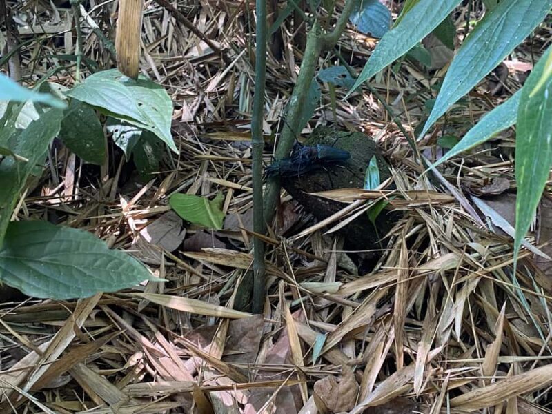 PEREIRA: VISIT THE BOTANICAL GARDEN OF THE UNIVERSITY OF PEREIRA - Key Points