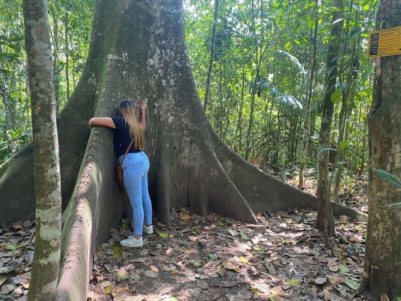 PEREIRA: VISIT THE BOTANICAL GARDEN OF THE UNIVERSITY OF PEREIRA - What Travelers Say