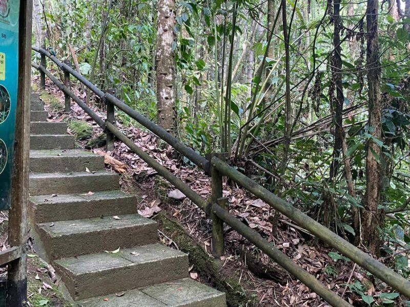 PEREIRA: VISIT THE BOTANICAL GARDEN OF THE UNIVERSITY OF PEREIRA - What to Bring and Keep in Mind