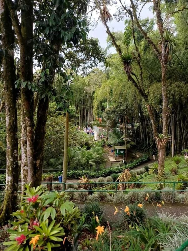 PEREIRA: VISIT TO THE SANCTUARY OF THE VIRGIN OF JORDAN + TRANSPORTATION AND LUNCH - An In-Depth Look at the Experience