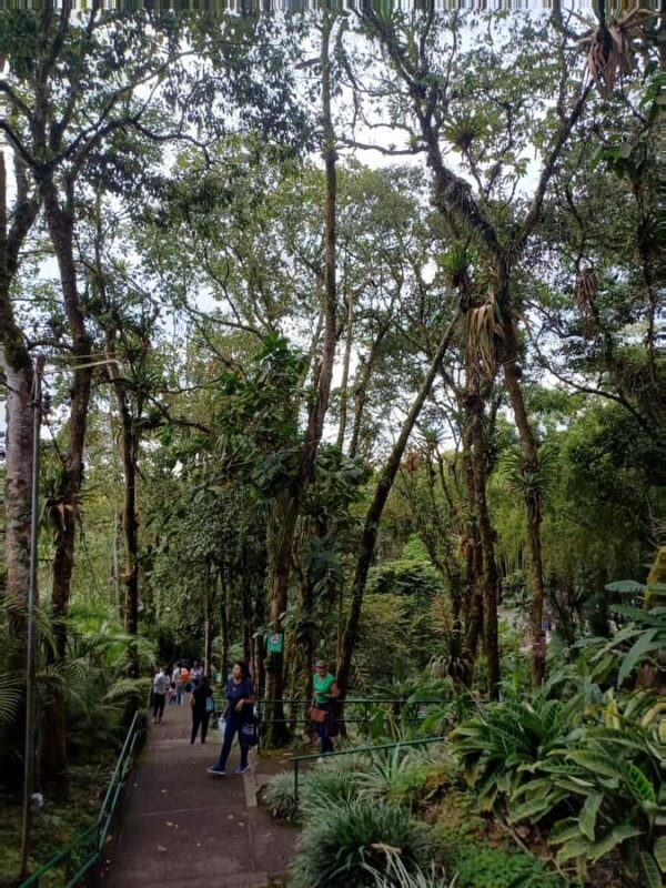 PEREIRA: VISIT TO THE SANCTUARY OF THE VIRGIN OF JORDAN + TRANSPORTATION AND LUNCH - Who Will Appreciate This Tour?