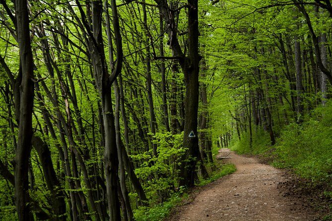 Perfect bike tour around Brasov - Perfect Bike Tour Around Brasov: An Authentic Ride through History and Nature