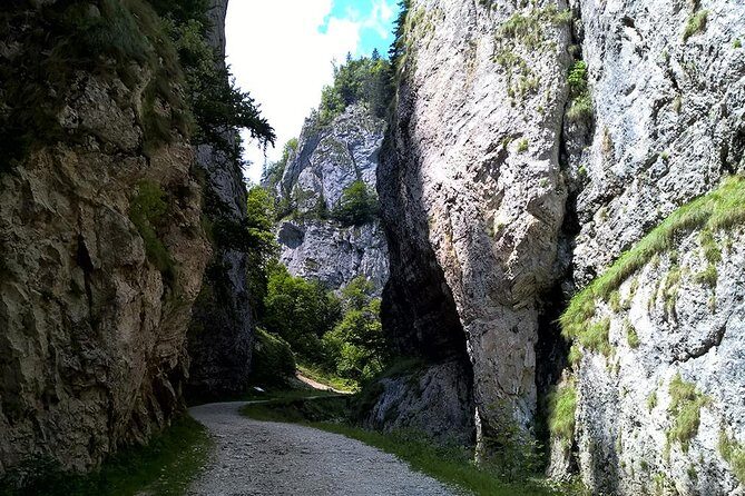 Perfect bike tour around Brasov - The Value Factor: Is It Worth It?
