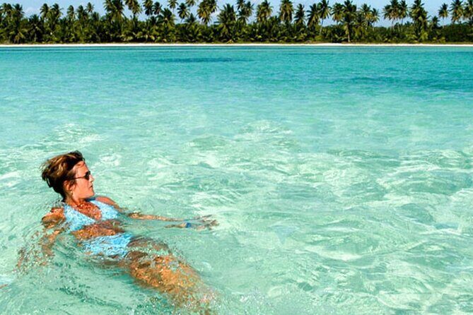 Perfect Day at Saona Island by Speedboat - Completely Private - An In-Depth Look at the Saona Island Speedboat Tour