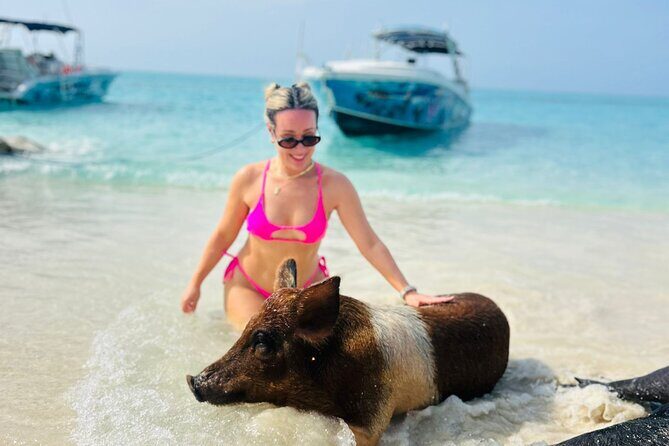 Perfect Day Swimming Pigs, Turtles, Reef Snorkel & Lunch - FAQ