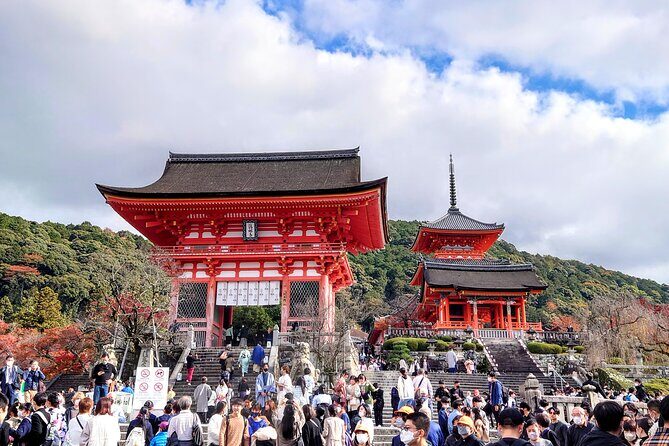 PERFECT KYOTO 1-Day Bus Tour - Why This Tour Works for Travelers
