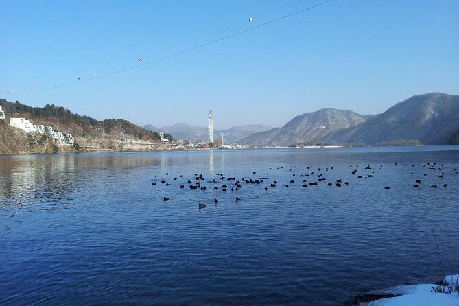 [Perfect Private Tour] Strawberry Farm & Nami Island & Lunch - The Sum Up