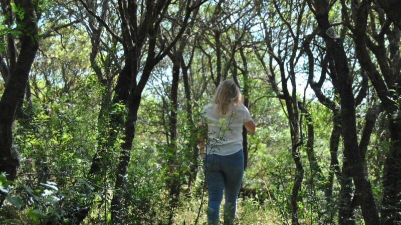 Perfugas: Green Mindfulness Walk - FAQs