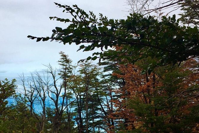 Perito Moreno Glacier with guide + GPS navigation Travel - Key Points